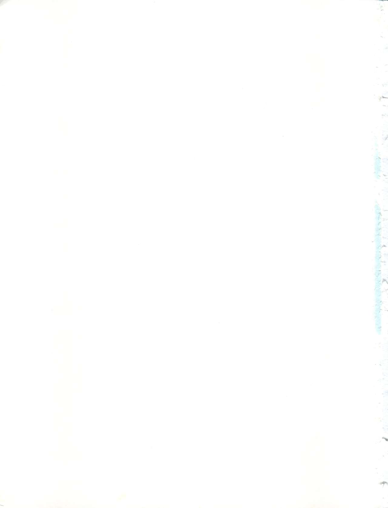 (C51) [なかよひ (モグダン)] ヒラヒラドキンチョ (美少女戦士セーラームーン、新世紀エヴァンゲリオン、VS騎士ラムネ&40炎)