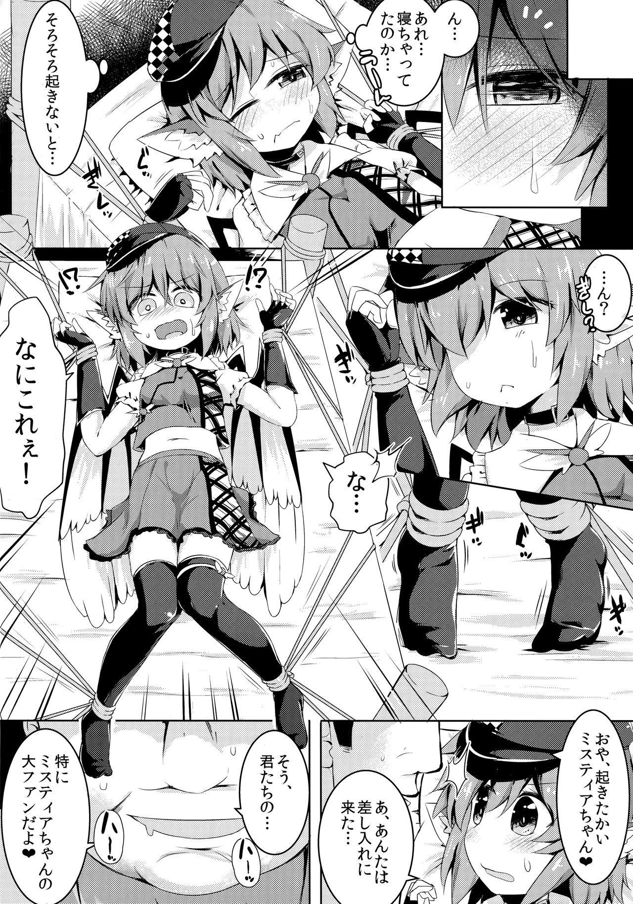 (C92) [らーめんらいす (らじー)] もうTNTNしかみえない (東方Project)