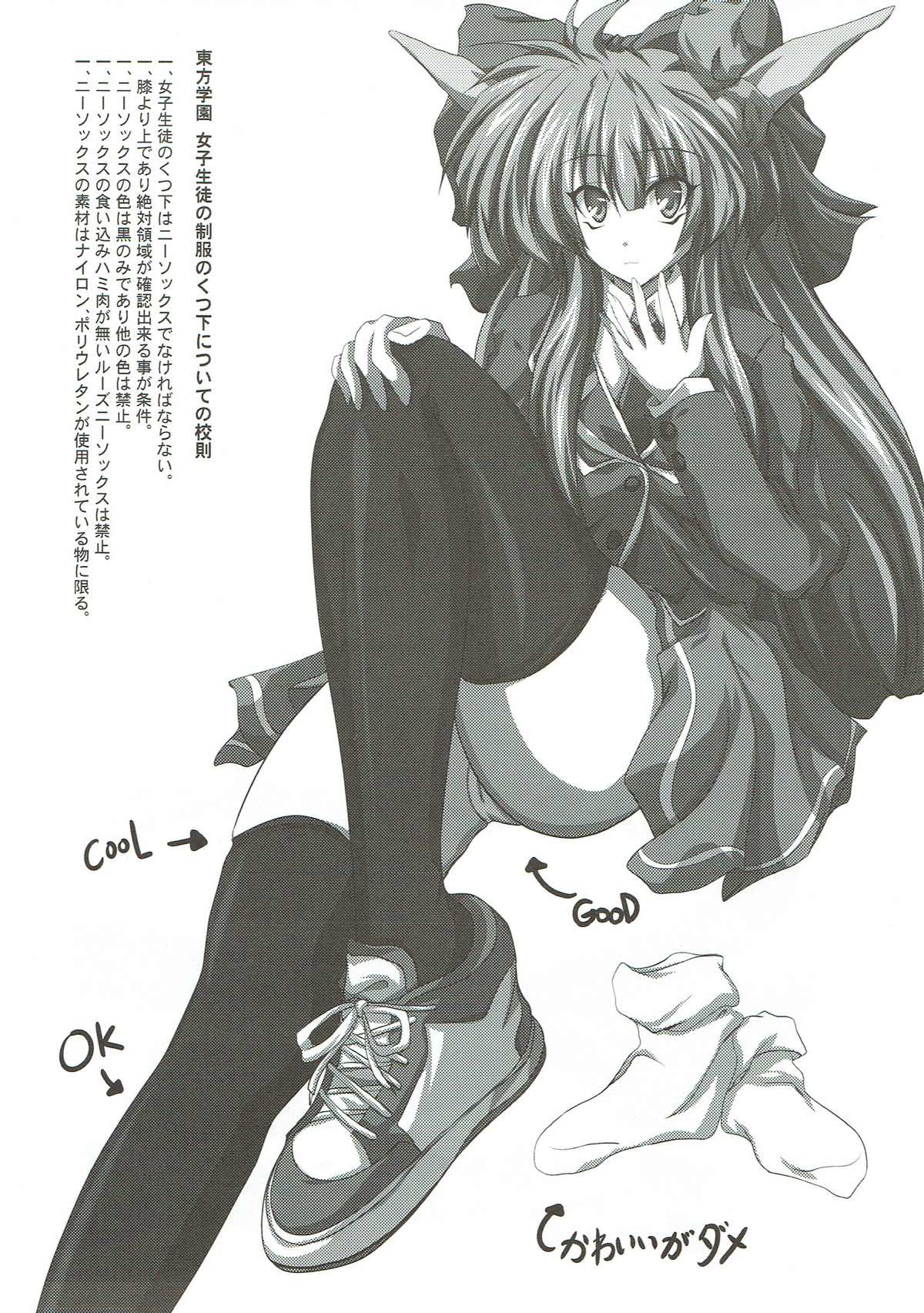 (東方絢文禄 尾張の巻) [毒霧 (だい)] 東方学園ニーソックス以外は校則違反 (東方Project)