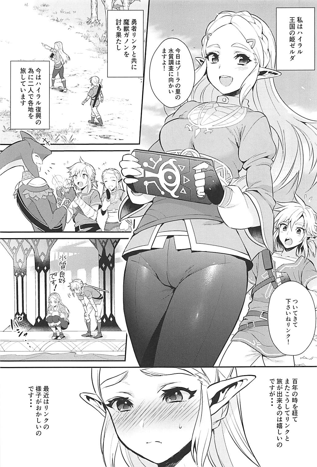 (C93) [もりっとこけ (もり苔)] ハイラル繁栄のためのかつどう! (ゼルダの伝説)