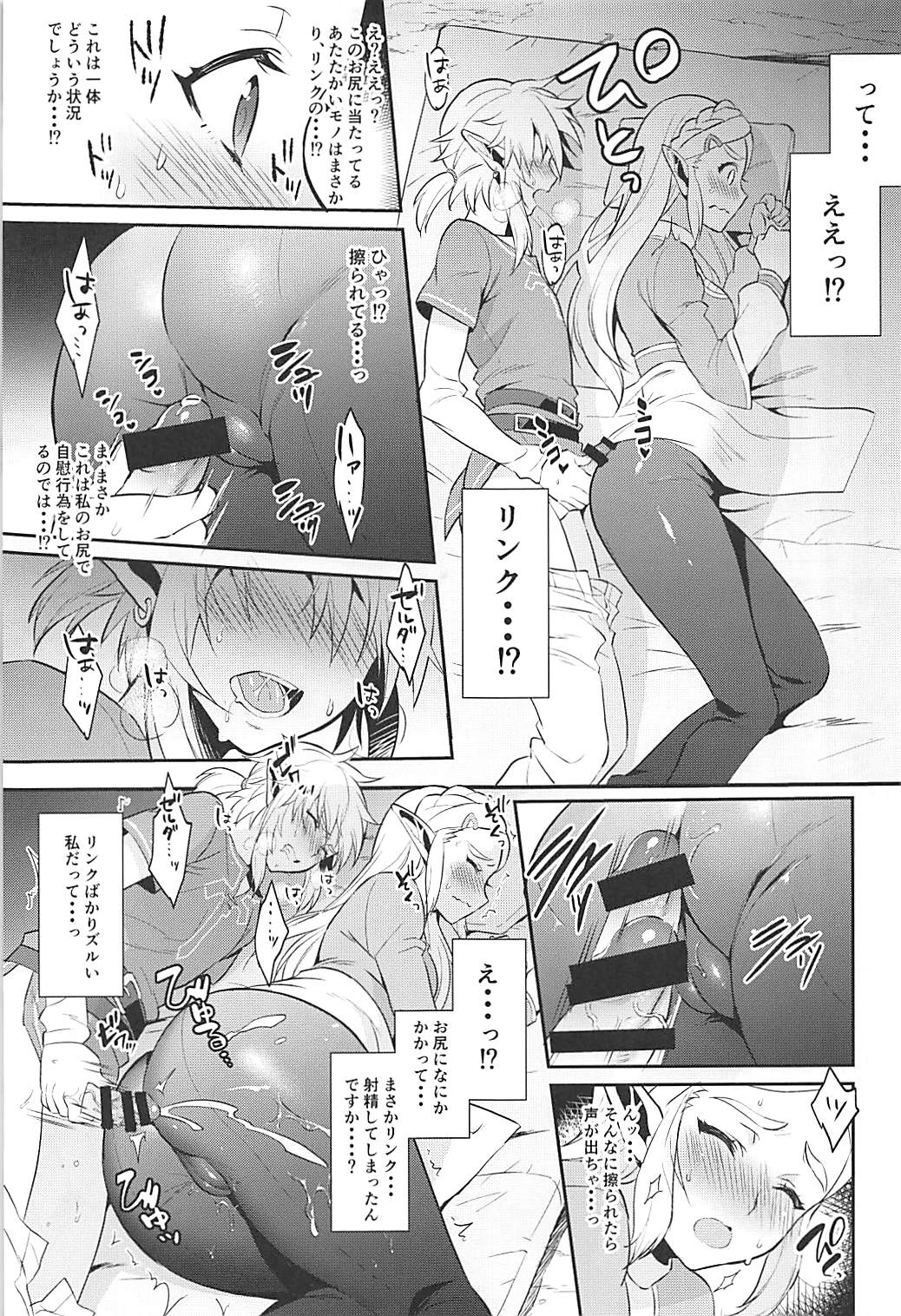 (C93) [もりっとこけ (もり苔)] ハイラル繁栄のためのかつどう! (ゼルダの伝説)