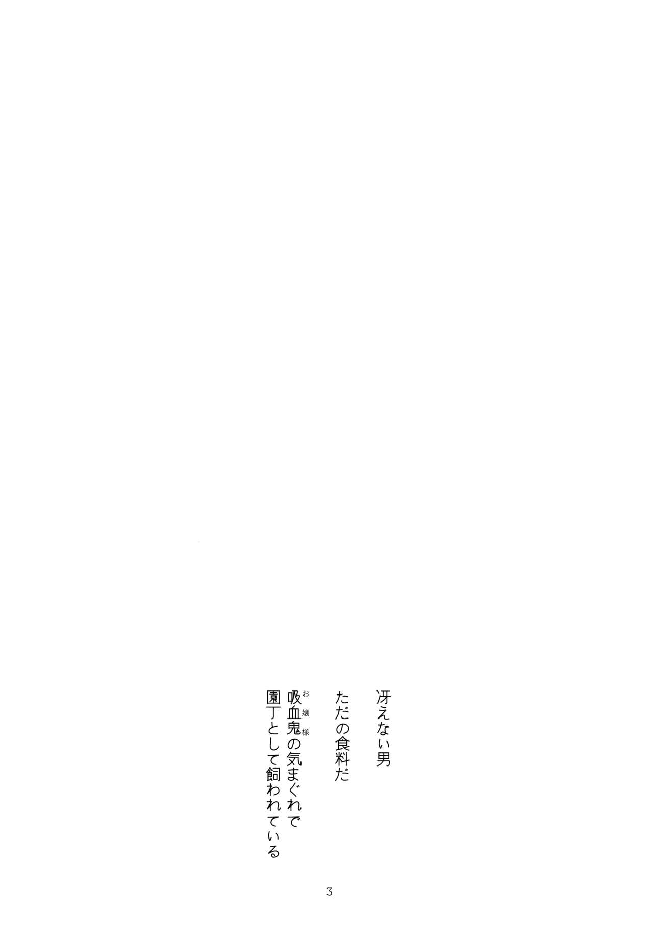 (例大祭14) [みっかみさき (ナヅカ)] ちょろれみAddiction (東方Project)