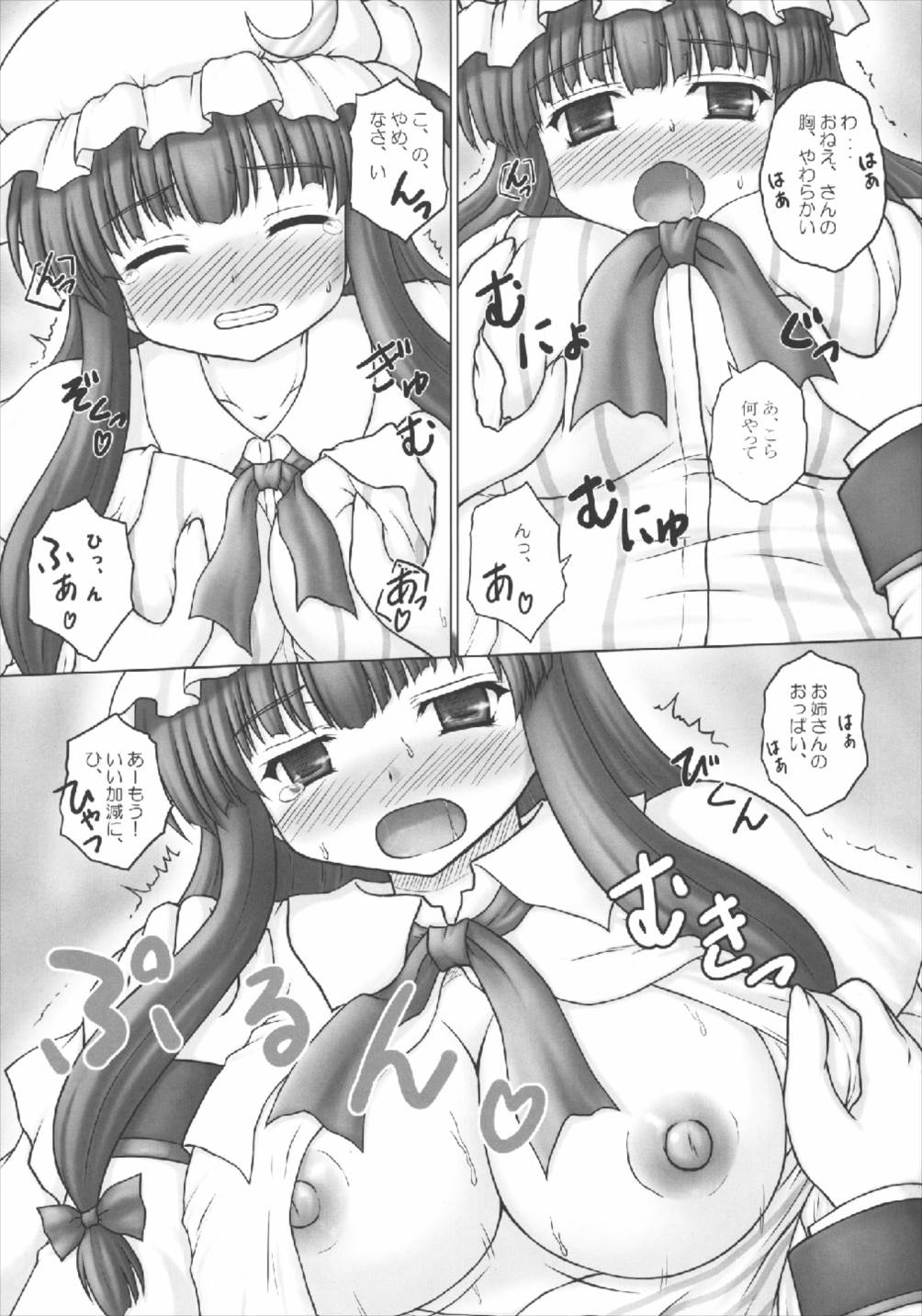 (例大祭8) [にゅうたいぷ研究所 (理)] お姉ちゃんの東方 (東方Project)