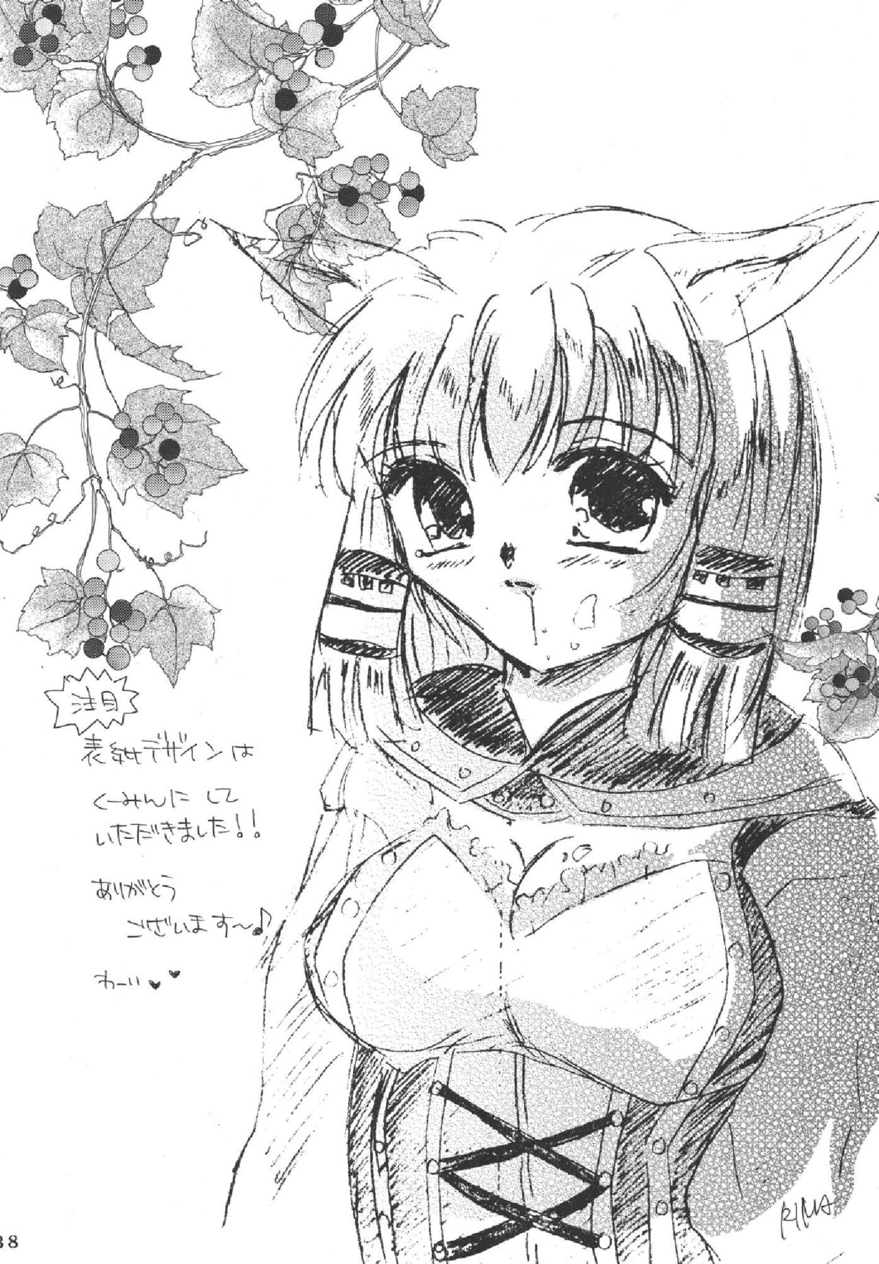 (C69) [ミフユ (みたかりま、Karin)] メロンパイ+1 (ファイナルファンタジー XI)
