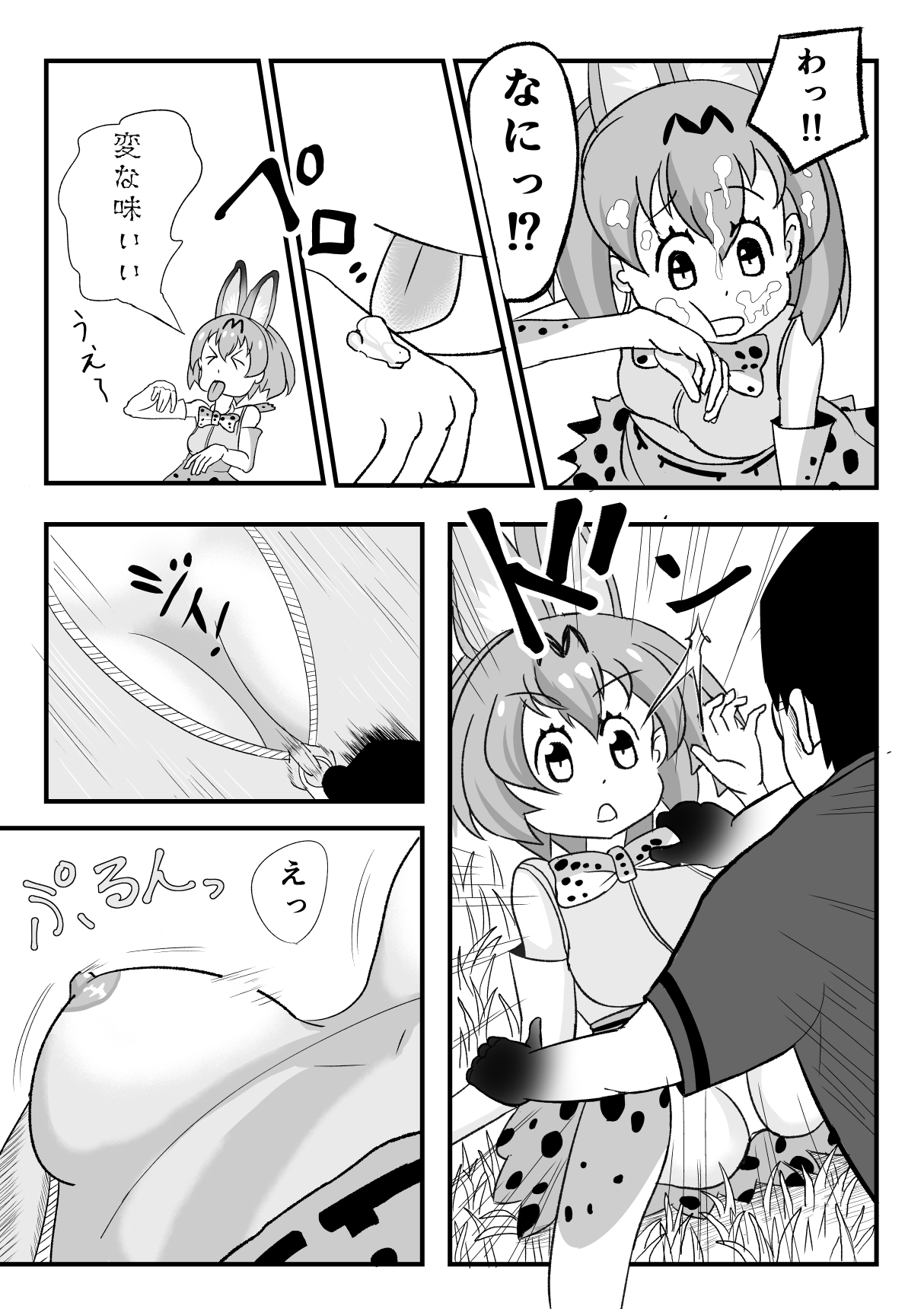[SIKOSIKO NETWORK (コムロ)] けもみみフレンズ (けものフレンズ)
