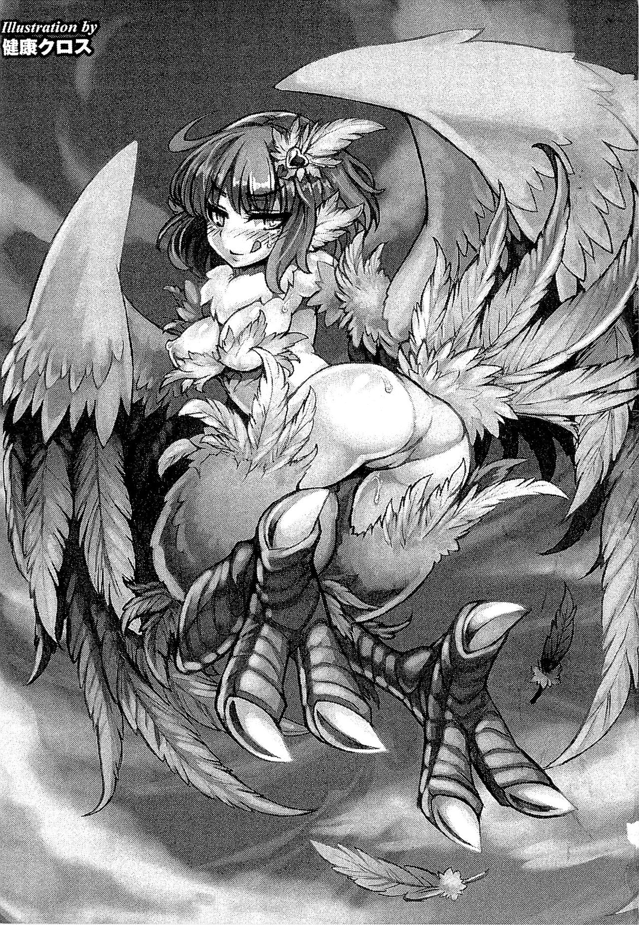[アンソロジー] 別冊コミックアンリアル モンスター娘パラダイス 2 [中国翻訳]