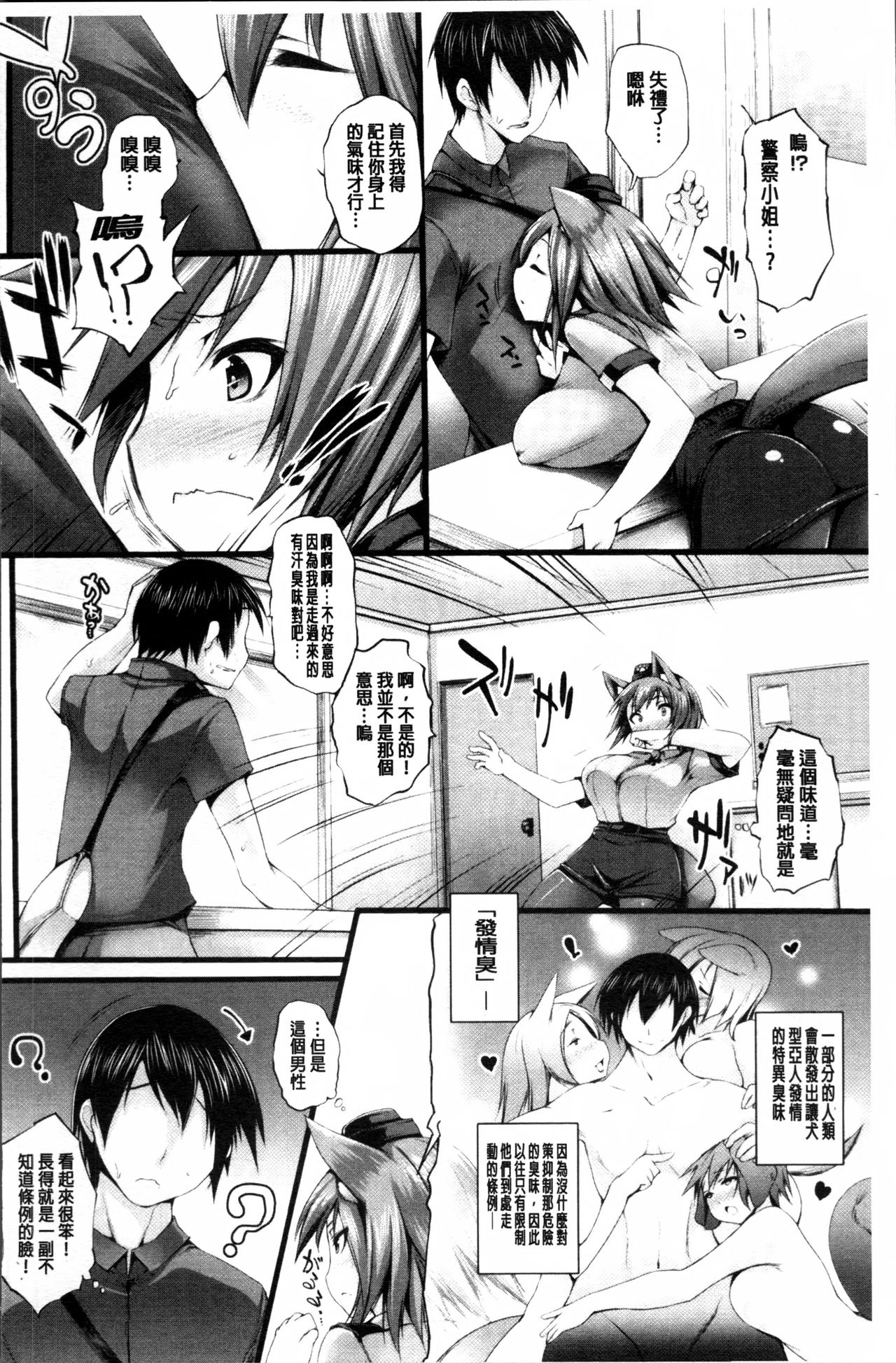[太平さんせっと] 搾々みーとぱい + 4Pリーフレット [中国翻訳]