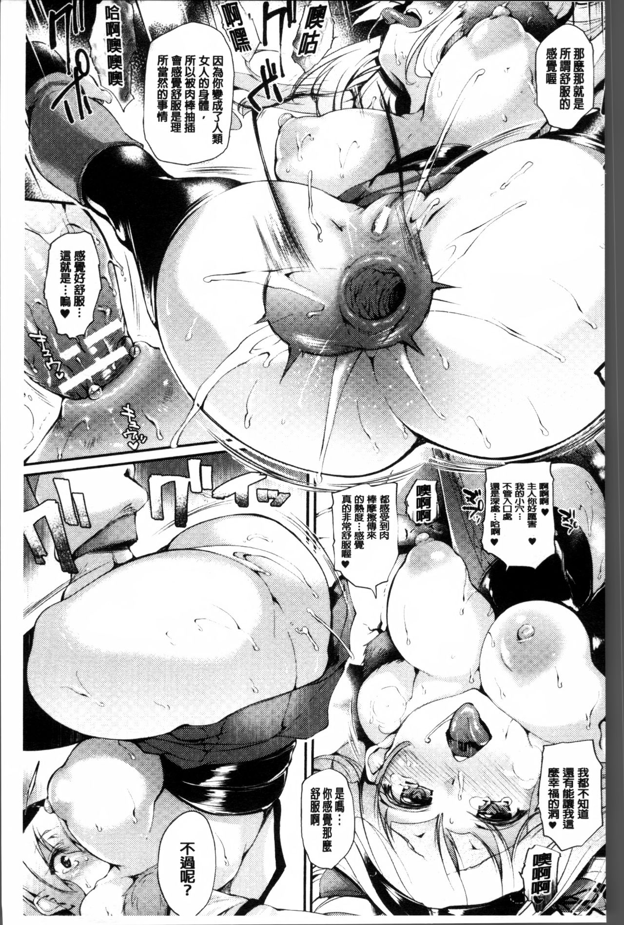 [太平さんせっと] 搾々みーとぱい + 4Pリーフレット [中国翻訳]