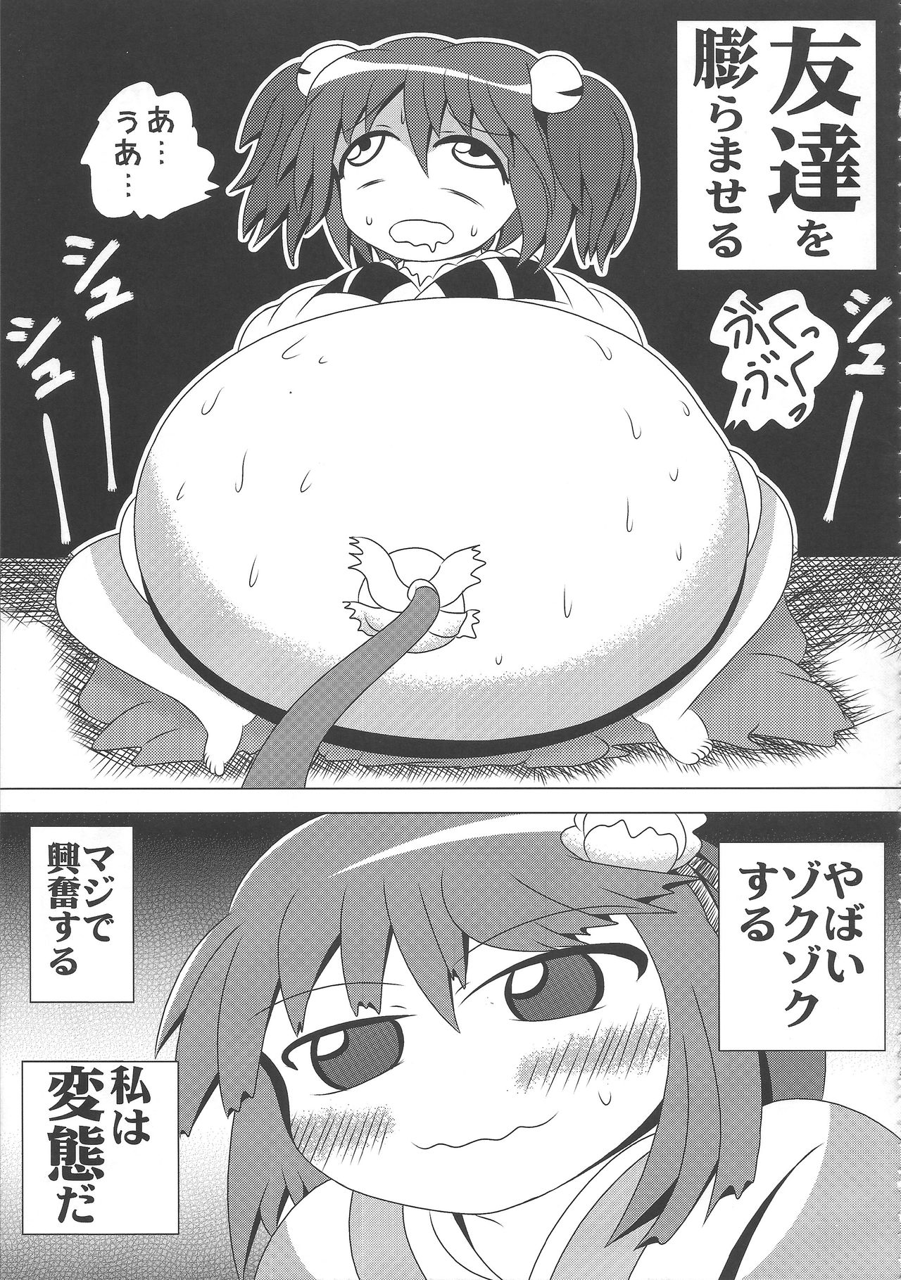 (例大祭14) [人力トランスミッション, 汐留project (よろず)] 東方膨張系総合合同誌「膨女!!!!!!!!」 (東方Project)