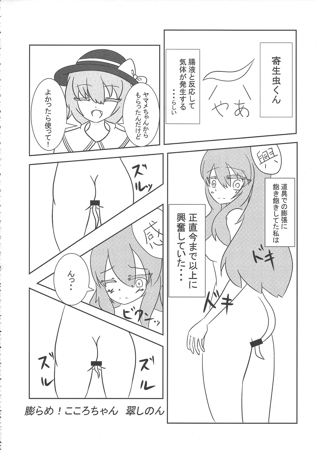 (例大祭14) [人力トランスミッション, 汐留project (よろず)] 東方膨張系総合合同誌「膨女!!!!!!!!」 (東方Project)