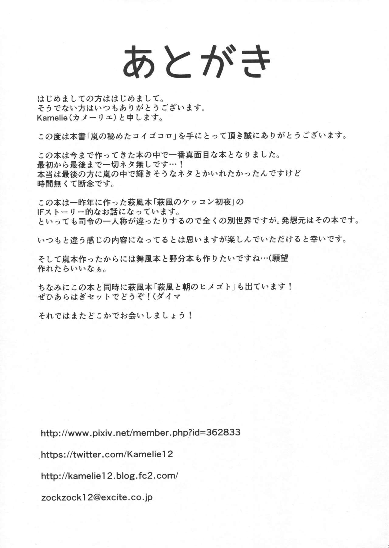 (砲雷撃戦!よーい!二十九戦目) [L5EX (カメーリエ)] 嵐の秘めたコイゴコロ (艦隊これくしょん -艦これ-)