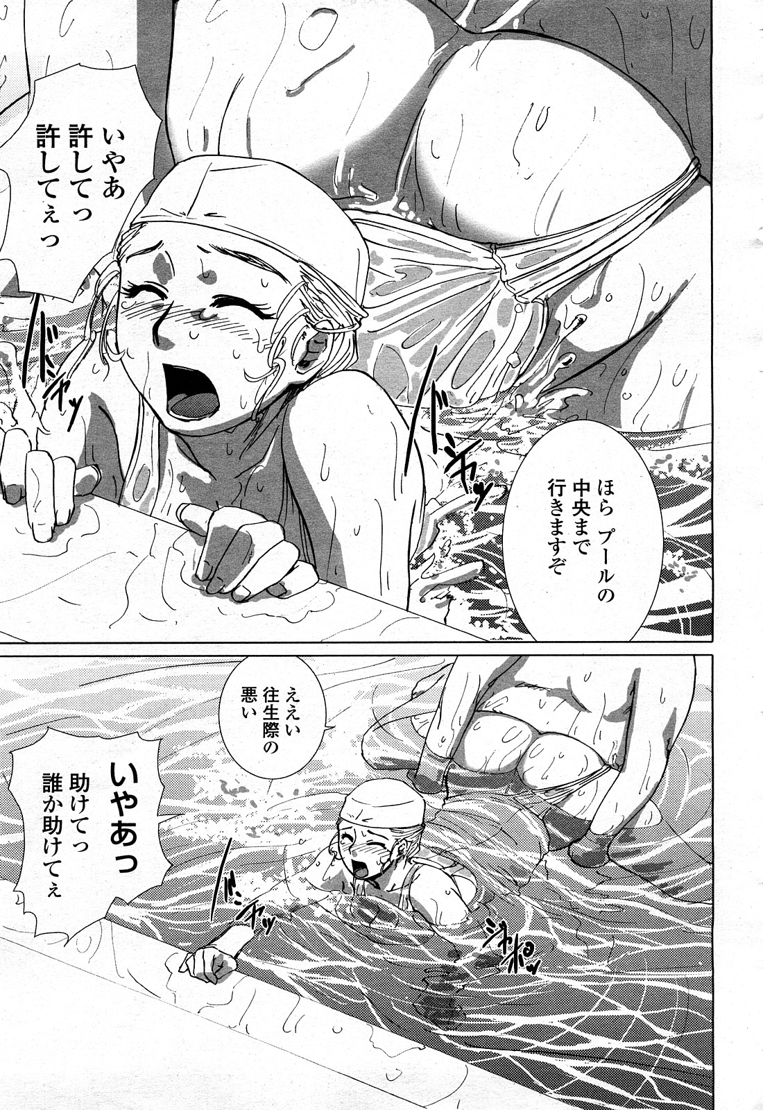 COMIC 桃姫 2008年4月号