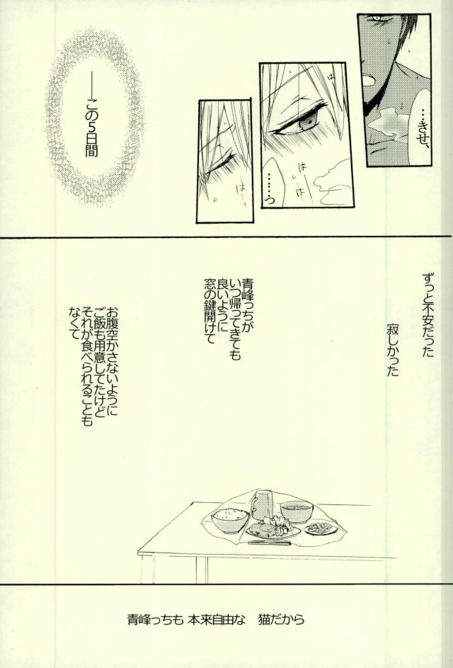 (HARUCC21) [キューティー★コンプレックス (ハツカ)] ねこのきもち3 (黒子のバスケ)