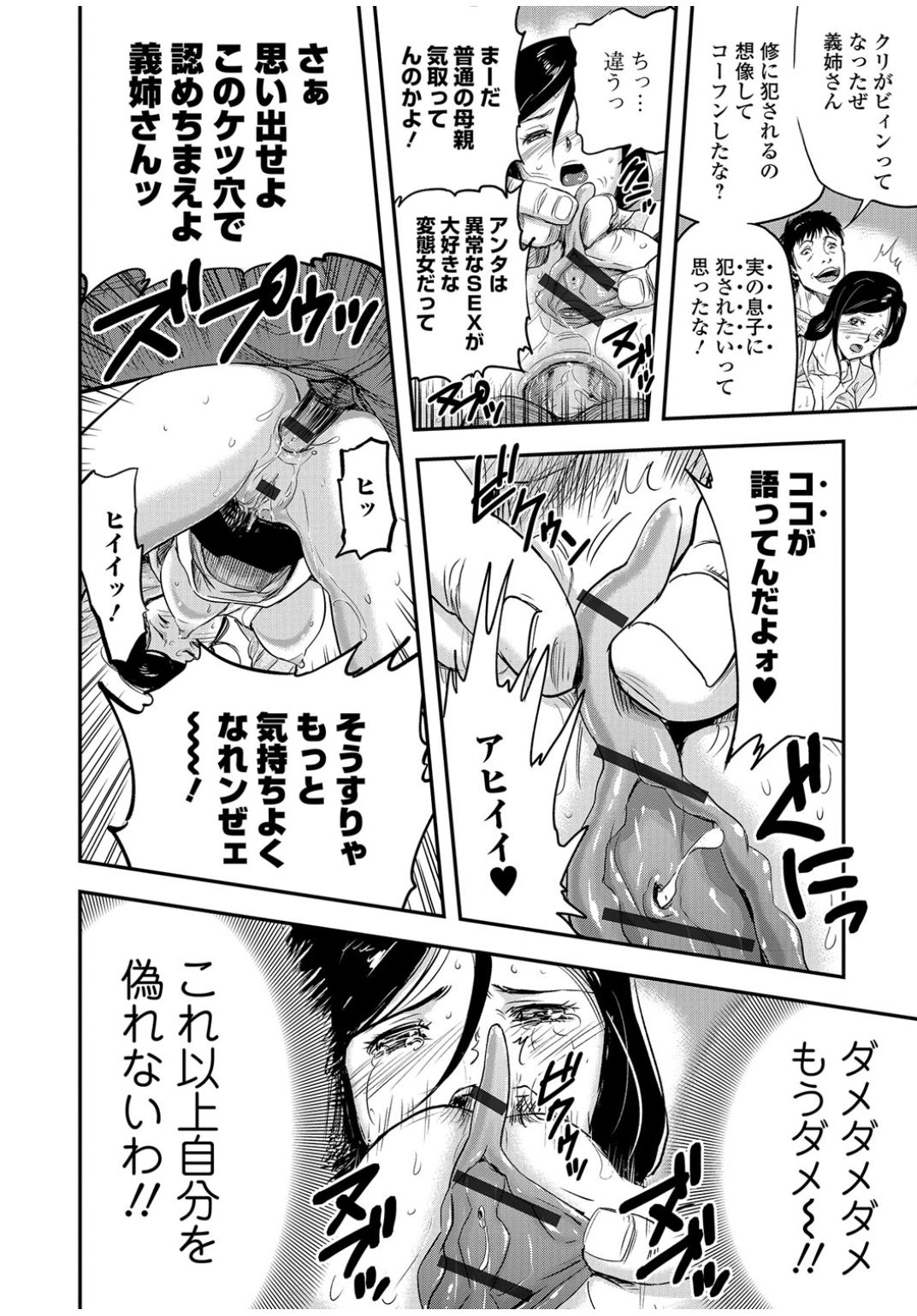 Web Comic 饕餮 Vol.13 [DL版]