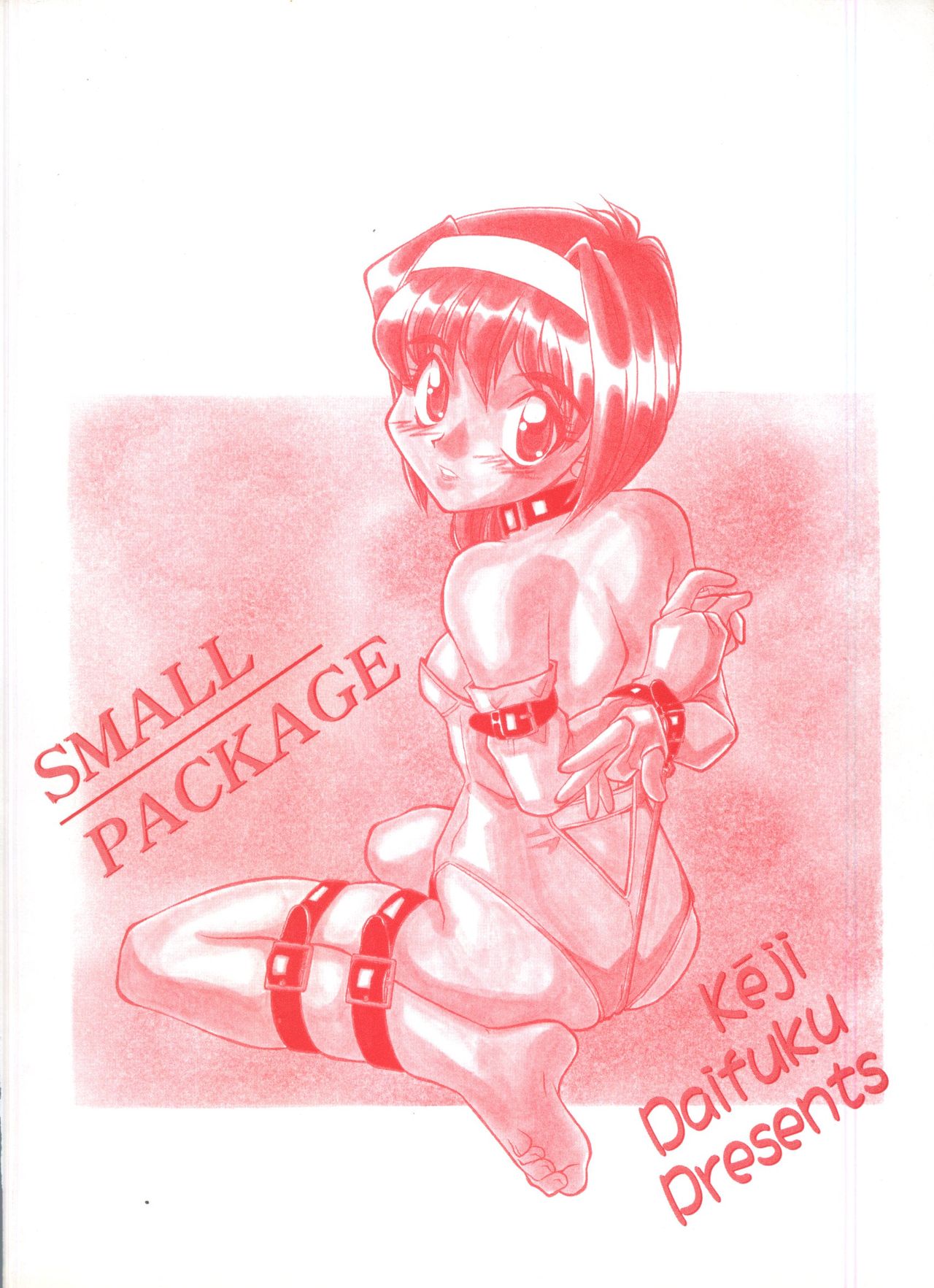 [大福けーじ] SMALL PACKAGE