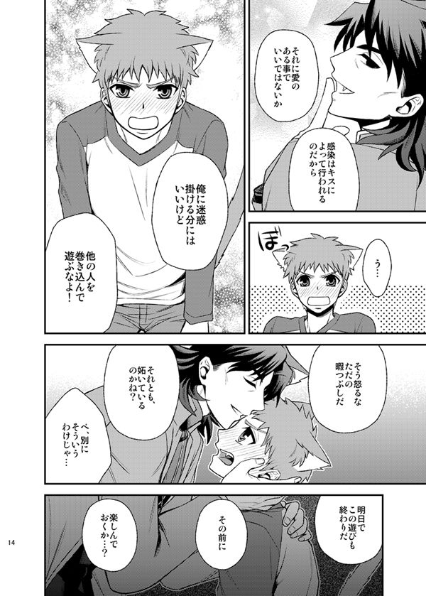 [TEKETO (さなだ)] ニャンニャンネットワーク (Fate/stay night) [DL版]