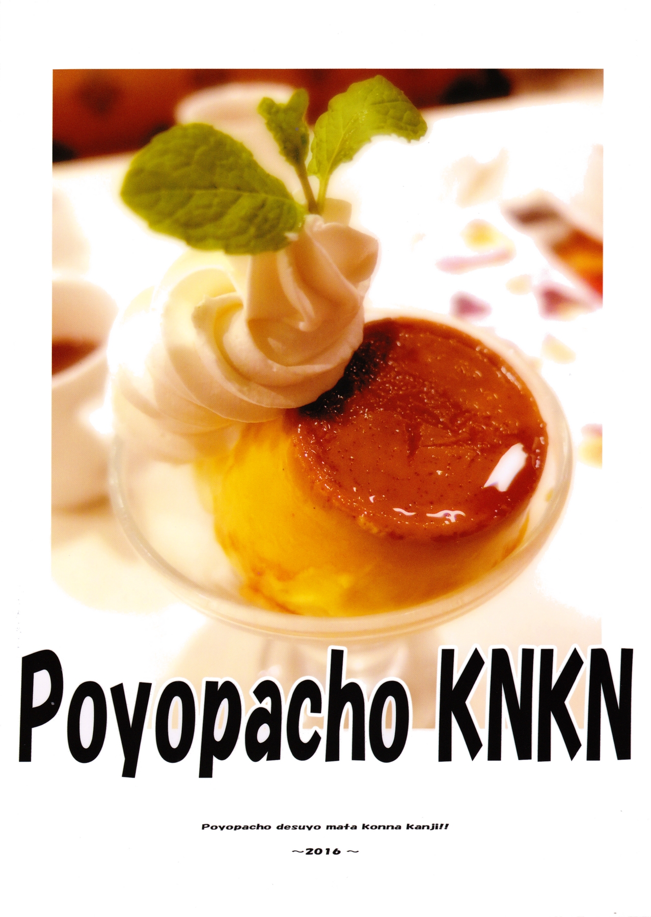 (C90) [ぽよぱちょ (うみうし)] Poyopacho KNKN (マクロスΔ)