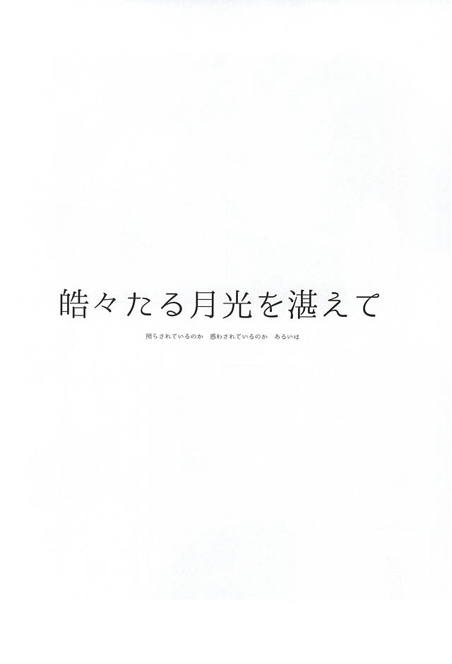 (急襲壁外調査博) [ROT (初)] 君、皓々たる月光を湛えて (進撃の巨人)