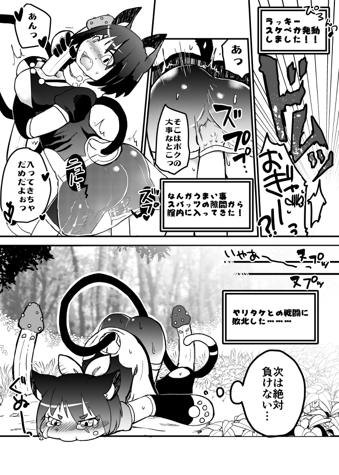 【ヤコウキョク（イハマダカ）】迷いの森で