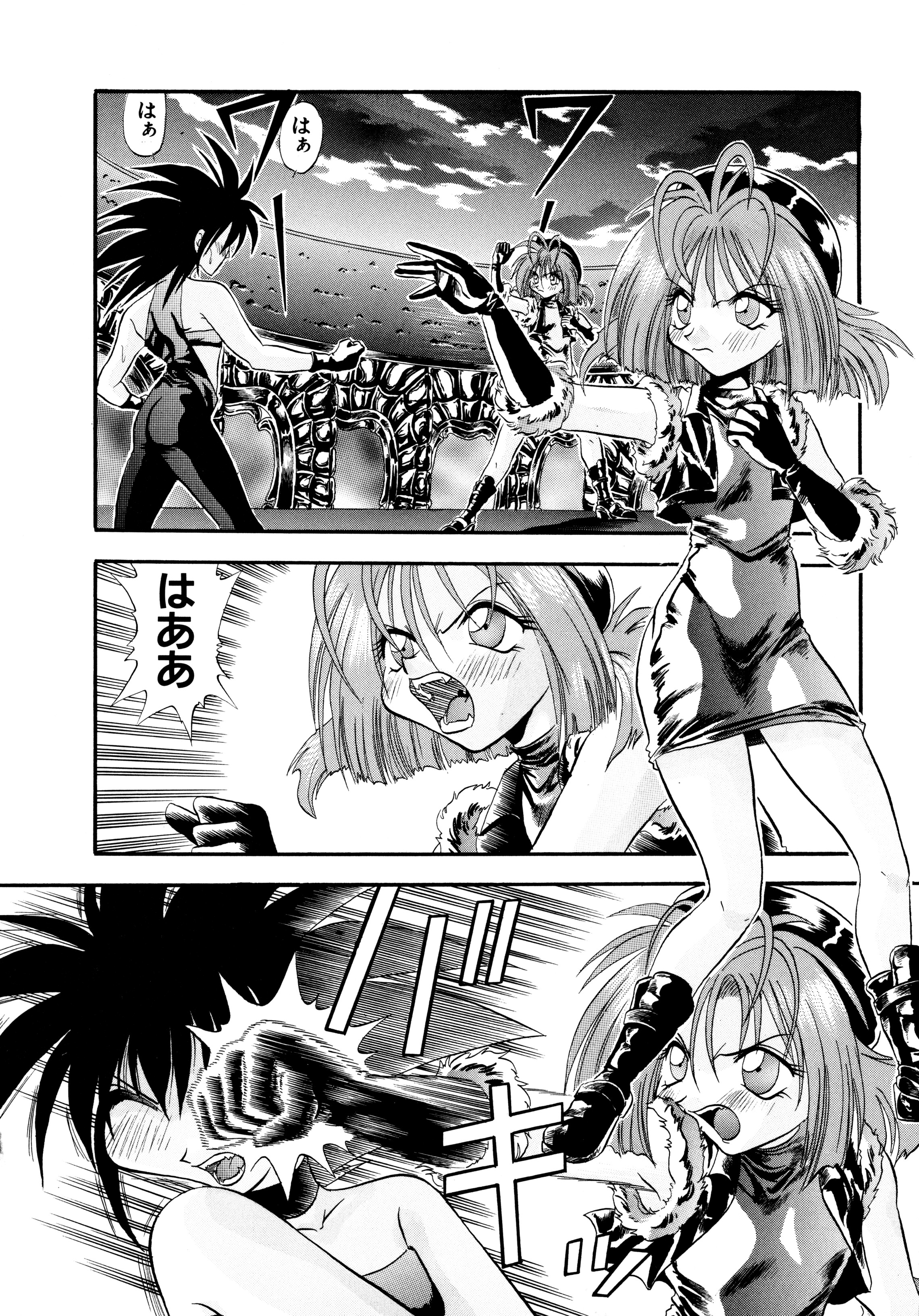 [ワルキューレ] 鉄拳姑娘