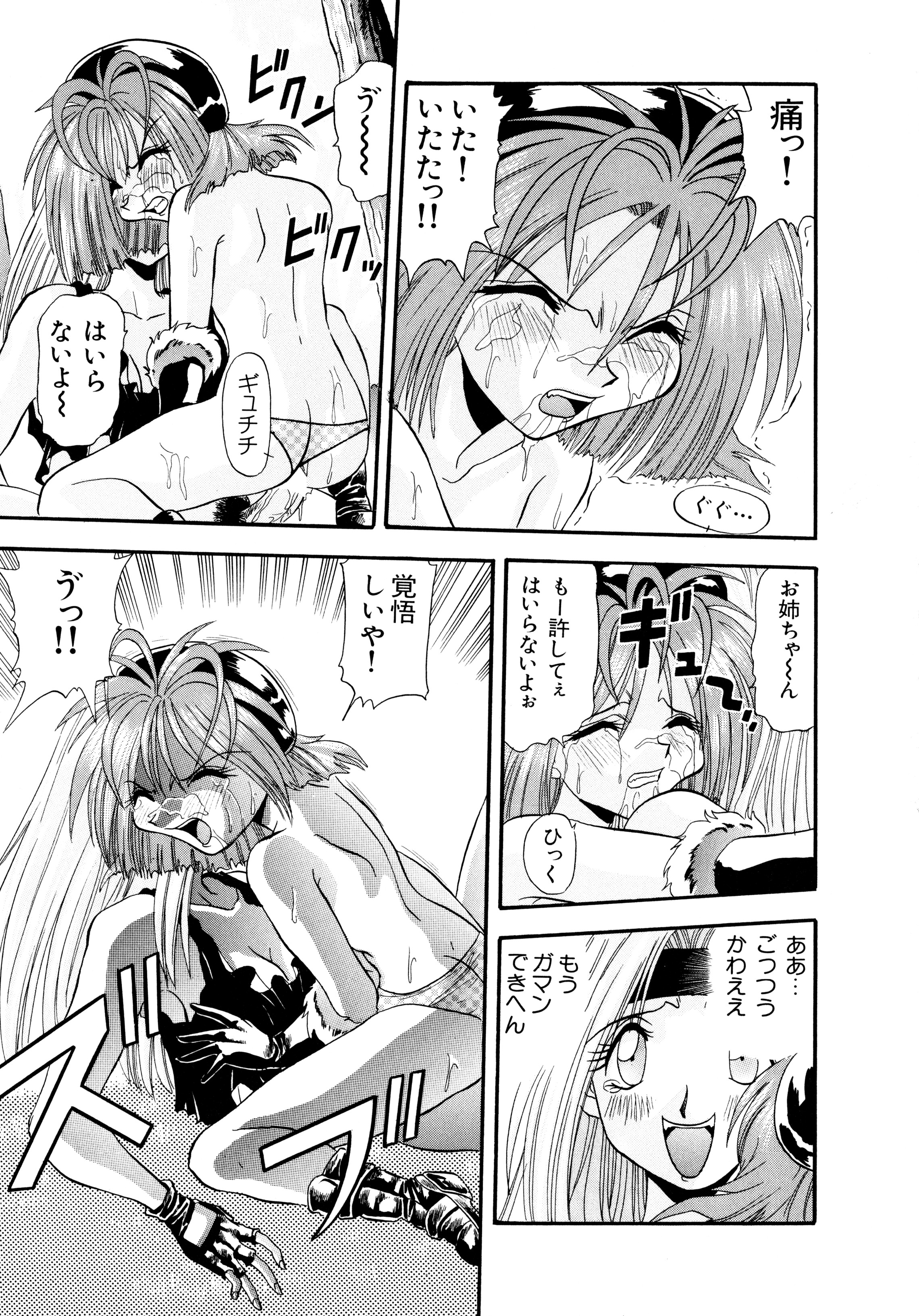 [ワルキューレ] 鉄拳姑娘