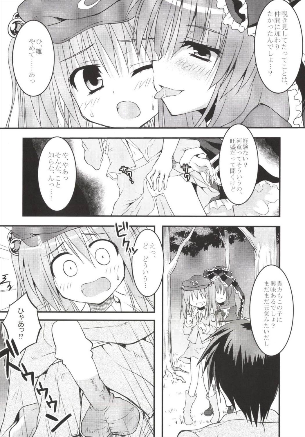 (例大祭11) [Crea-Holic (トシヒロ)] 厄+俺+河童のバイオリズム (東方Project)