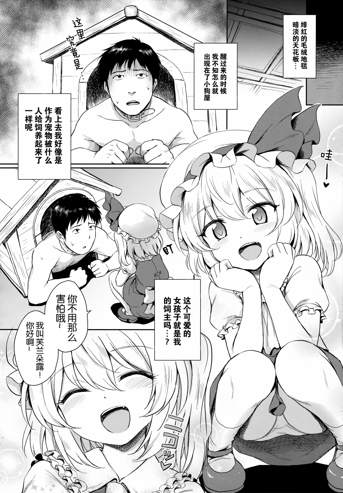 (例大祭13) [54BURGER (まるごし)] フランちゃんのペット (東方Project) [中国翻訳]