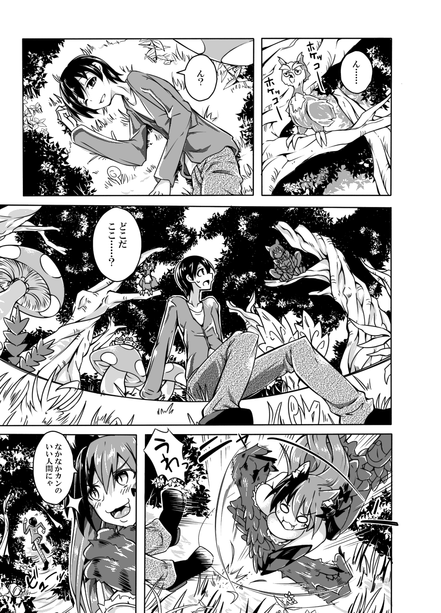 [SlapStickStrike (ステルス改行)] 私の魔物娘を紹介します!EX図鑑総集編 [見本]