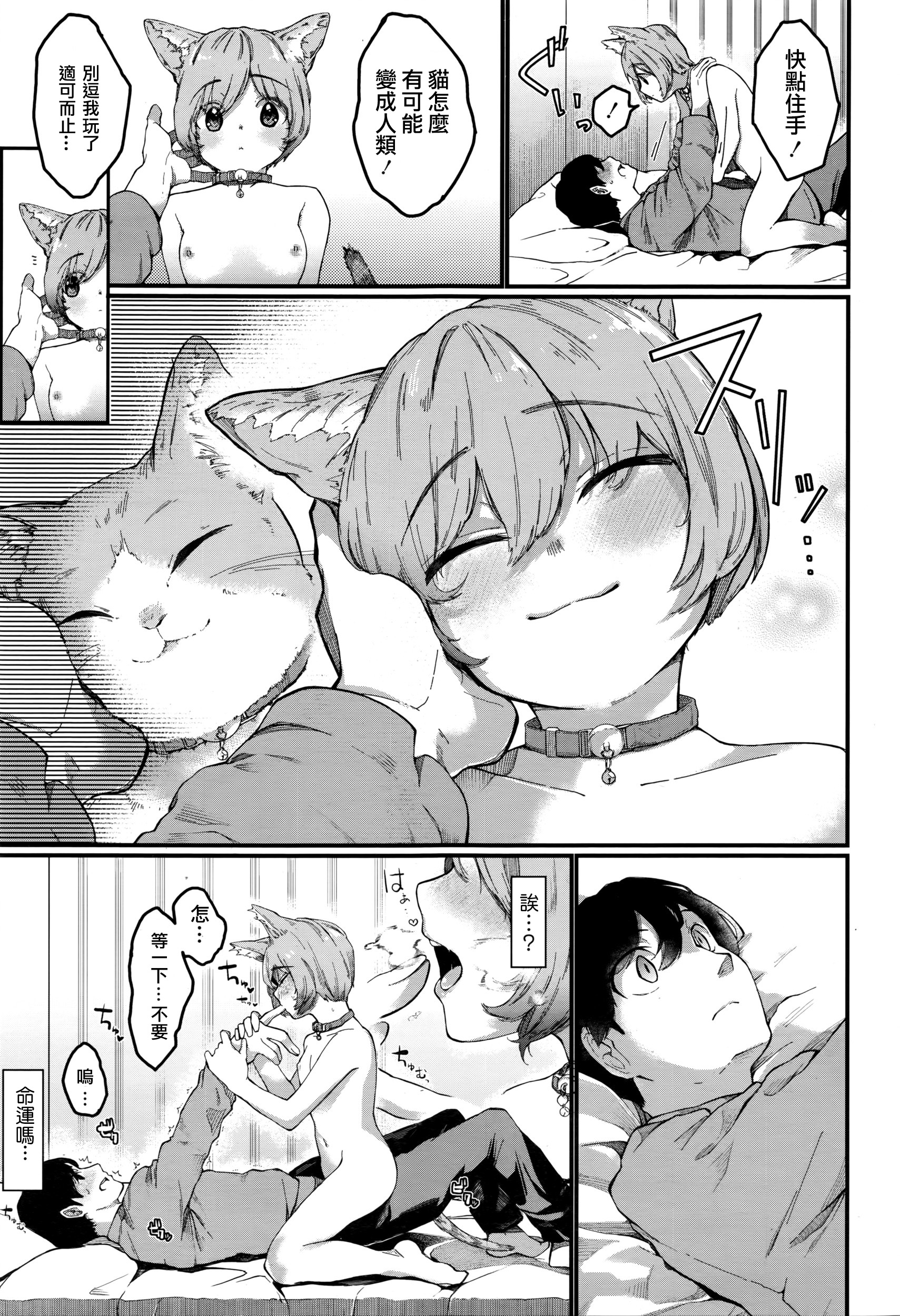 [たらぞお] ナイトwithにゃんこ (COMIC 天魔 2016年3月号) [中国翻訳]