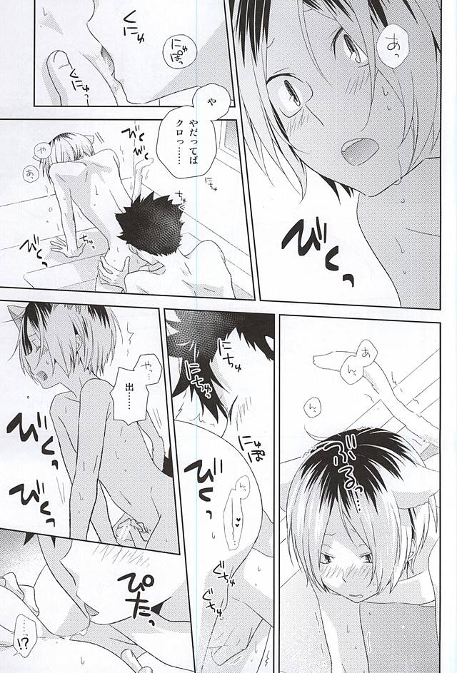 (HARUCC20) [MOBRIS (トモハル)] 月イチ大感謝毛繕いデー (ハイキュー!!)