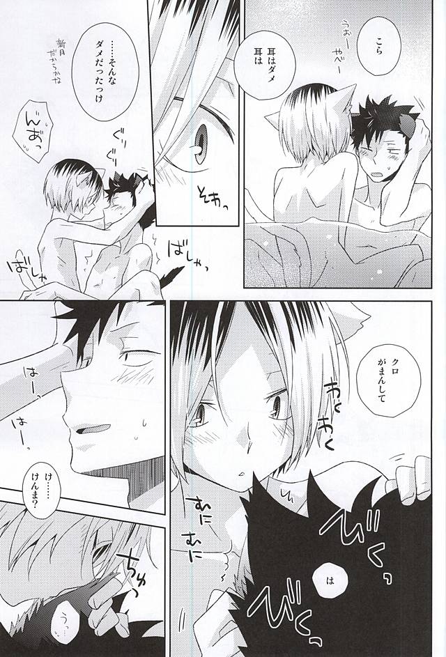 (HARUCC20) [MOBRIS (トモハル)] 月イチ大感謝毛繕いデー (ハイキュー!!)