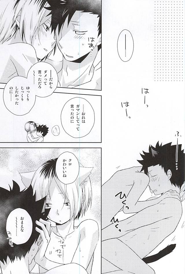 (HARUCC20) [MOBRIS (トモハル)] 月イチ大感謝毛繕いデー (ハイキュー!!)