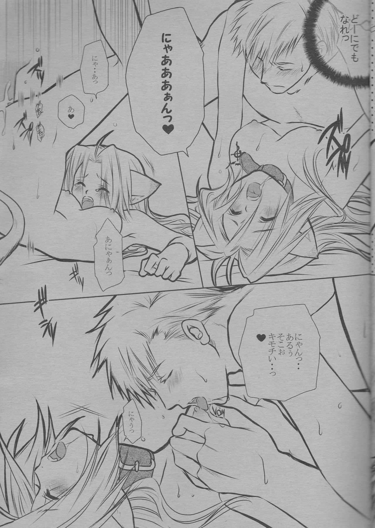 (C68) [HEAVENS (月影満丸)] にゃんにゃん (鋼の錬金術師)