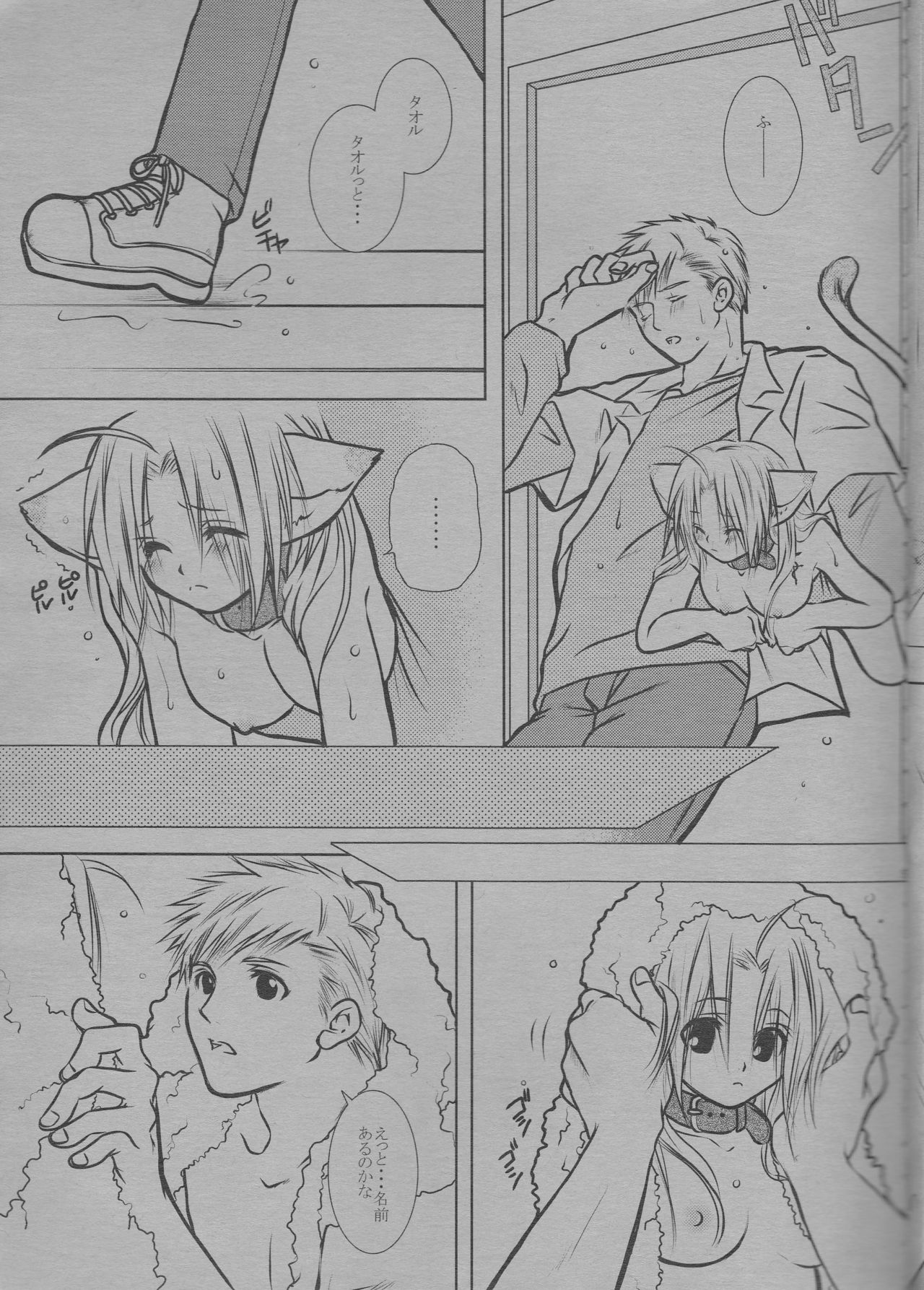 (C68) [HEAVENS (月影満丸)] にゃんにゃん (鋼の錬金術師)