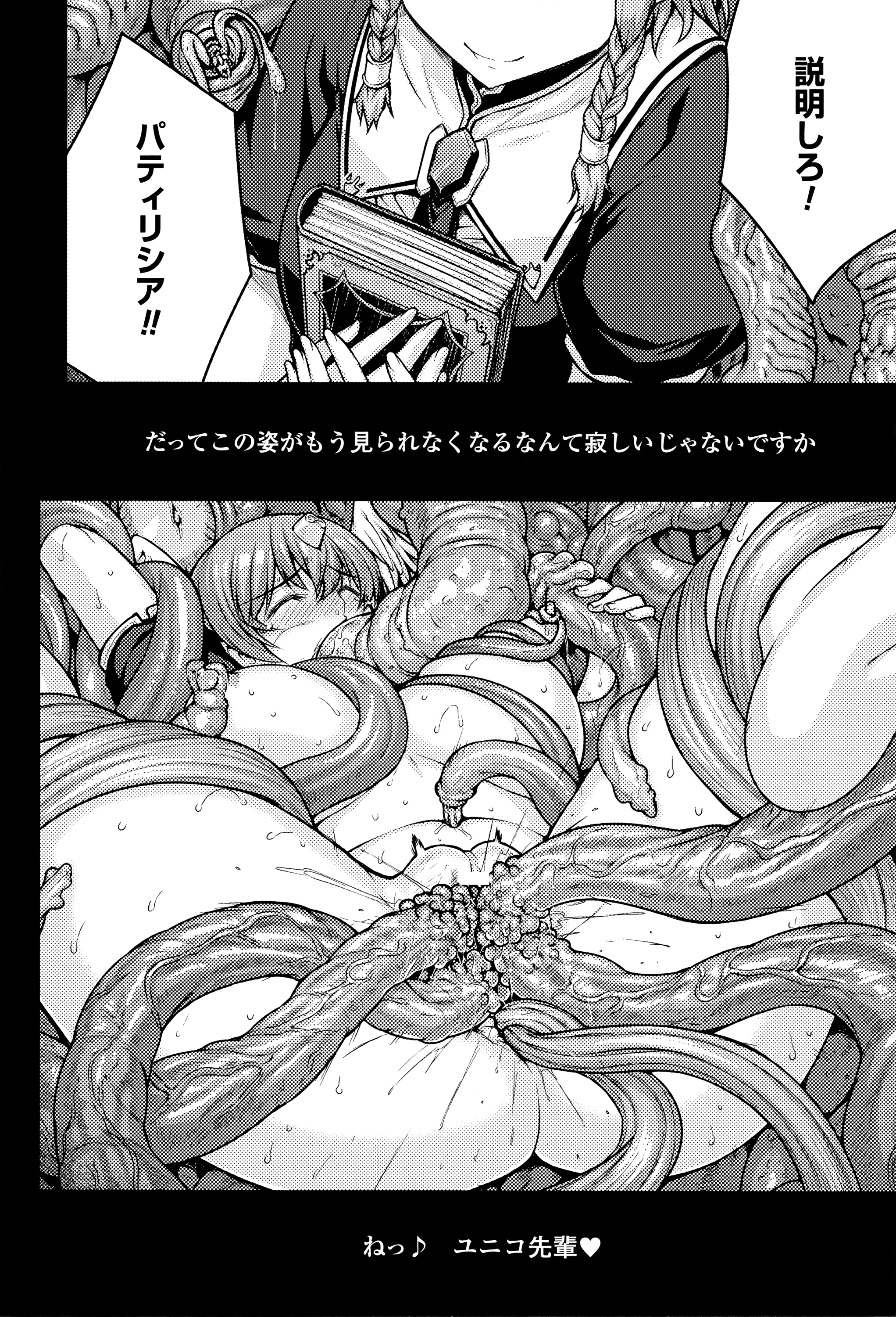 [エレクトさわる] 神曲のグリモワール―PANDRA saga 2nd story―III　小冊子付特装版