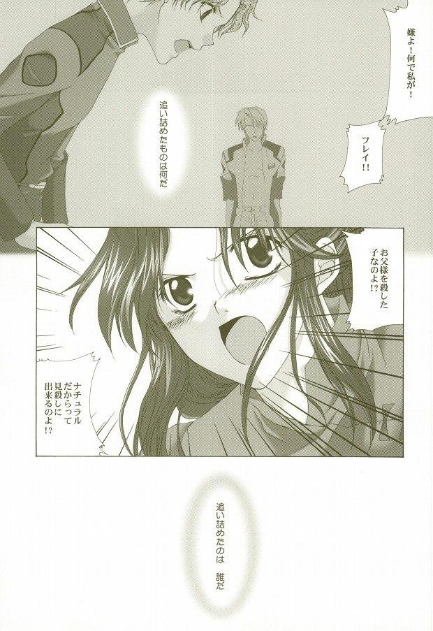[LOVESEAT (ユウカ、ミチヨ)] Perfect Crime #2 (機動戦士ガンダムSEED)