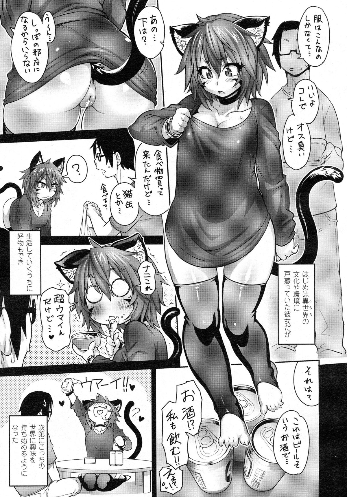 [jun]けものむすめコミュニケーション〜猫娘近く〜〜