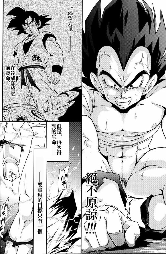 (C75) [毒銃龍 (ノラジ、狛川リミ)] ケモノたちは故郷をめざす (ドラゴンボールZ) [中国翻訳]