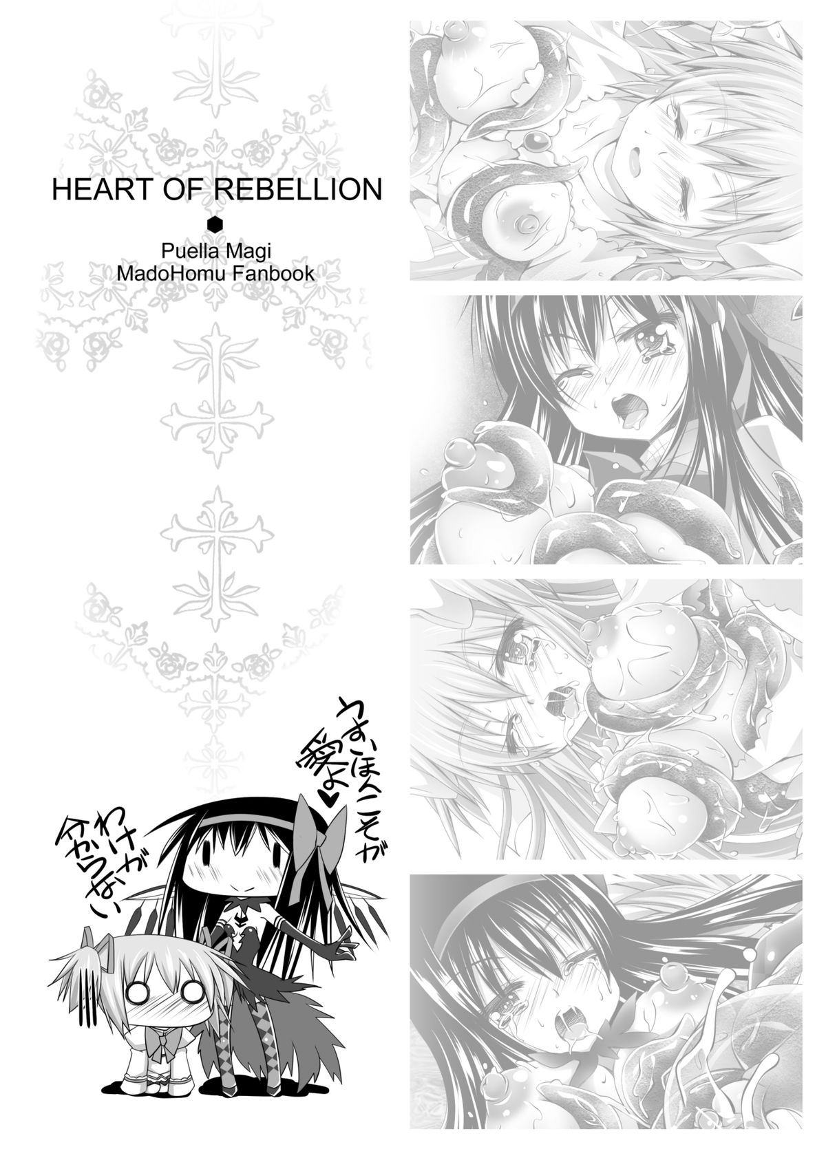 [SEKI Craft (SKF)] HEART OF REBELLION (魔法少女まどか☆マギカ)