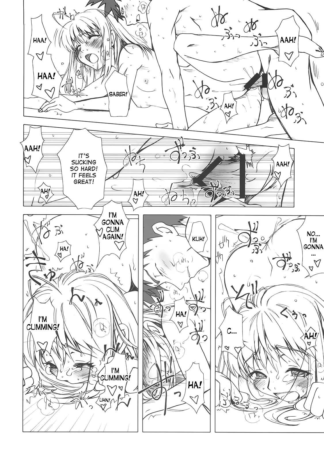 (C74) [魚辰一八金支店 (ふじもり沙耶)] 約束の丘 (Fate/hollow ataraxia) [英訳]