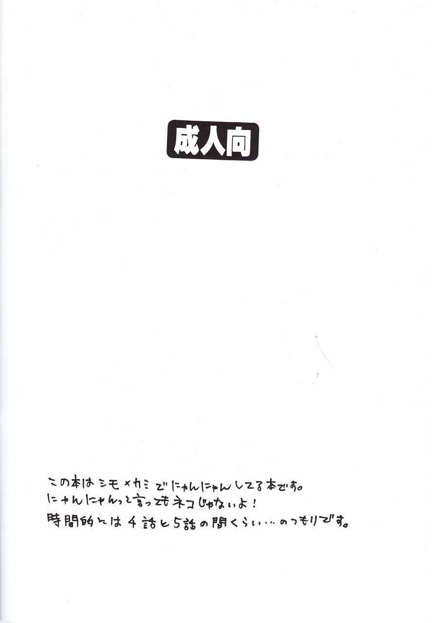 (C73) [イカレ吟遊詩人団, ACT2 (三月鯨, 椎名稔, 岡林べる)] 流星カミナイト (天元突破グレンラガン)