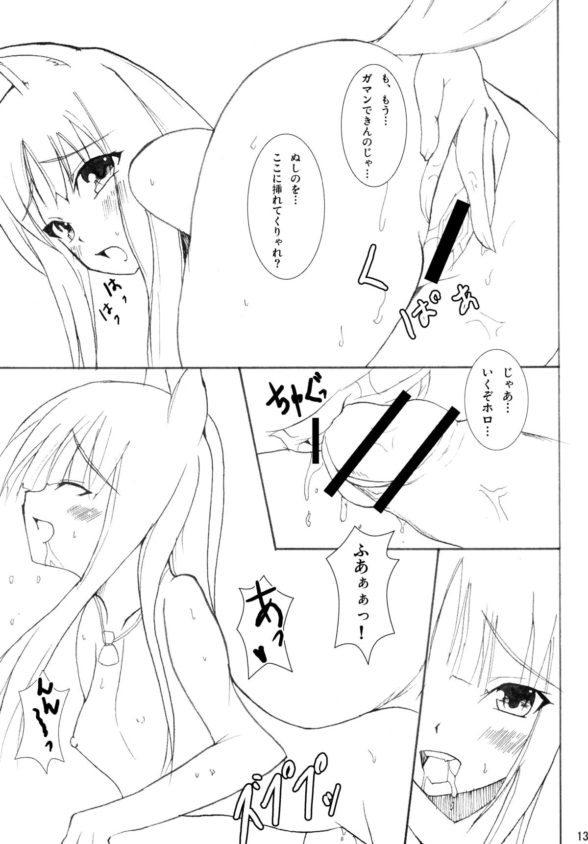 (COMIC1☆2) [高機動少女 (藤崎空)] Naked Spice (狼と香辛料)