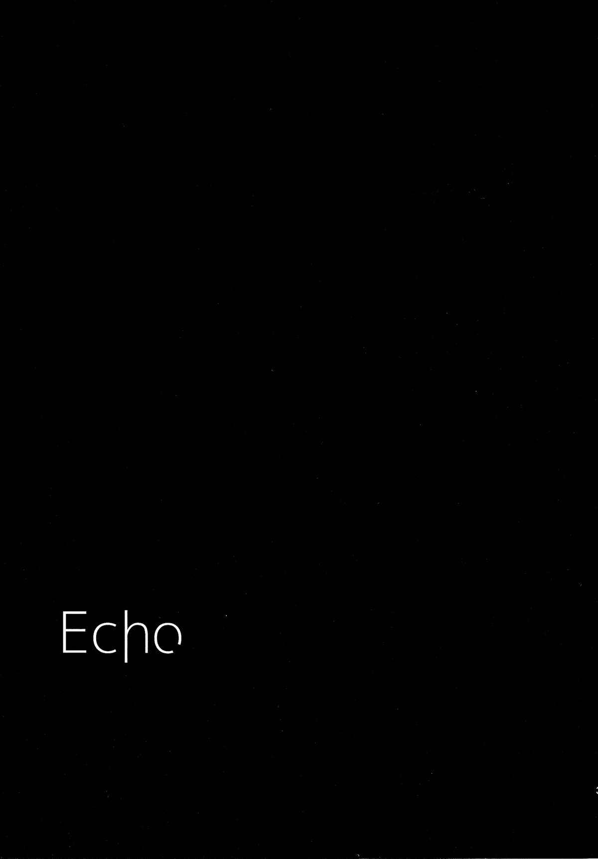 (我、夜戦に突入す! 2) [星野生花店 (ほしの壱夜)] ECHO (艦隊これくしょん -艦これ-)