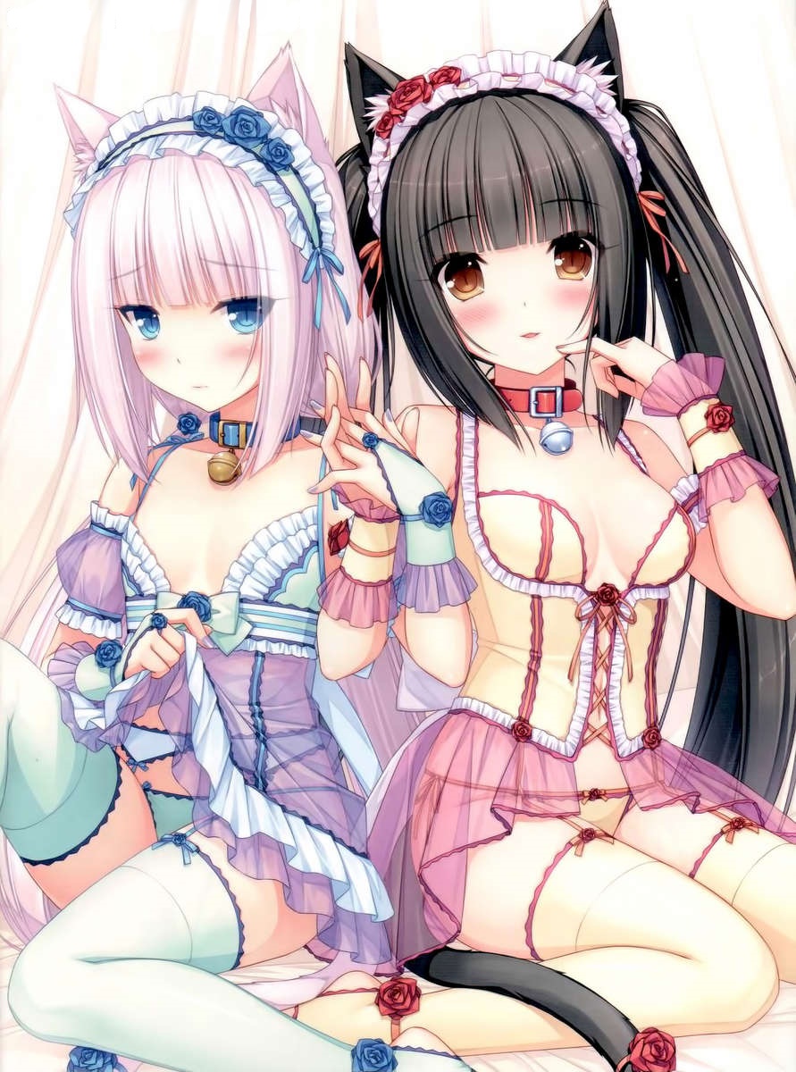(C84) [NEKO WORKs (さより)] ネコぱら01 [英訳] [無修正]