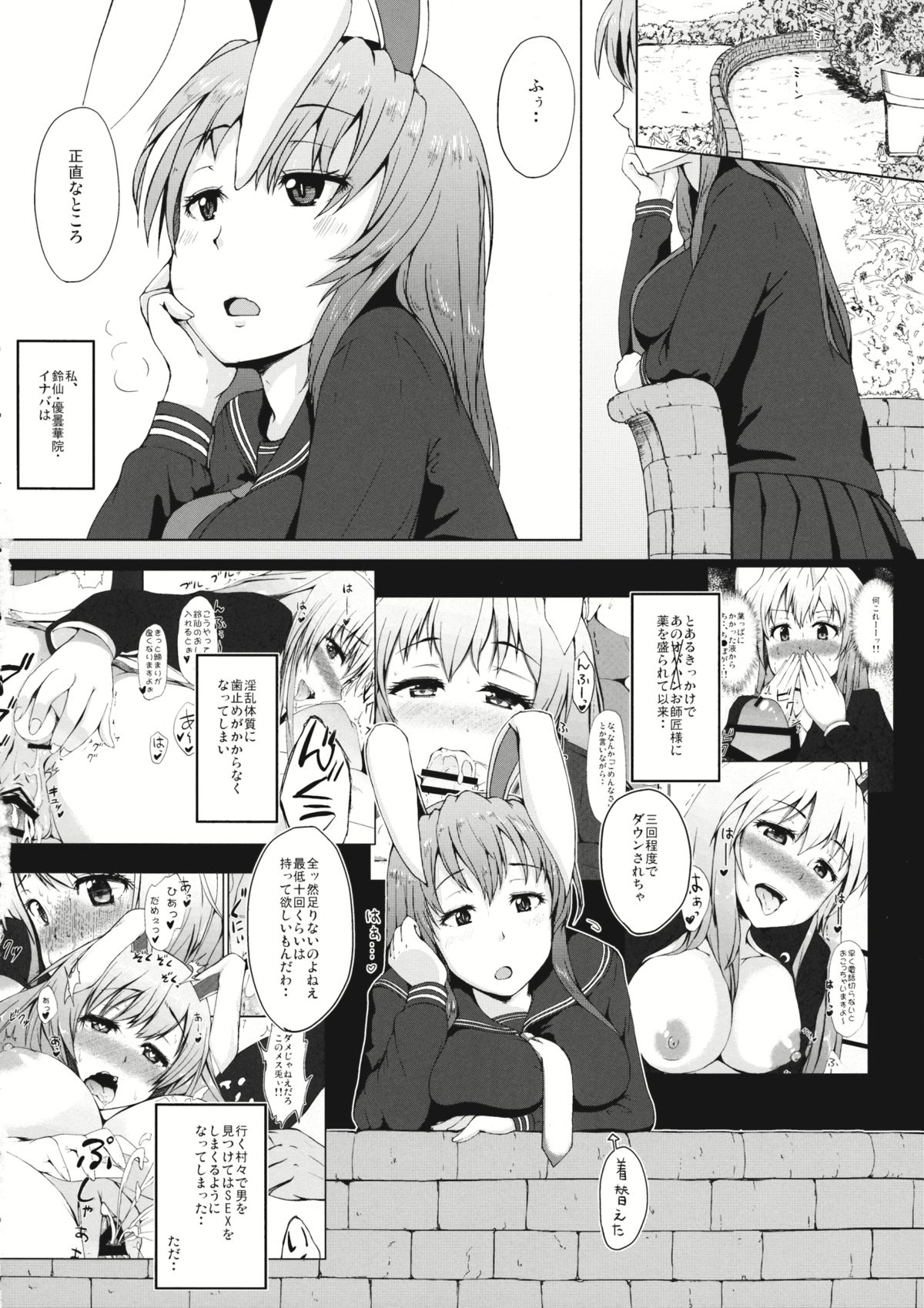 (C88) [田舎の野菜屋 (はぶらえる)] 兎のたね (東方Project)