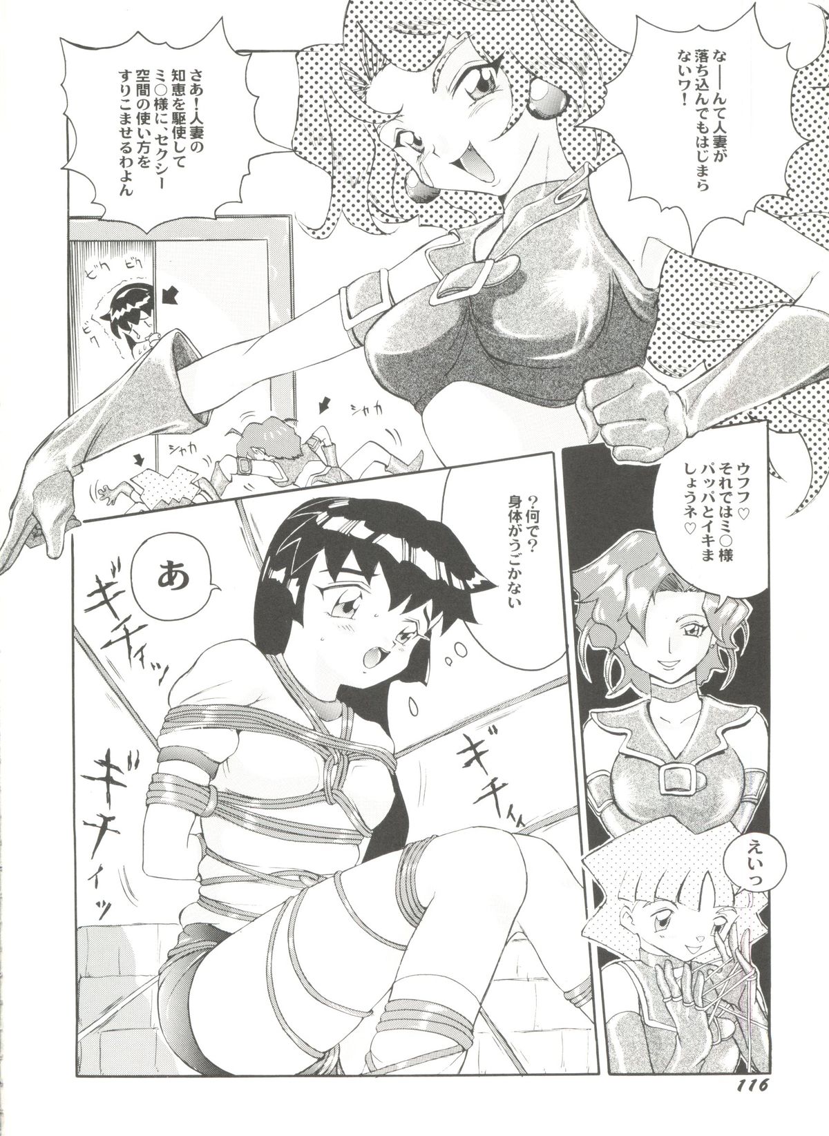 [アンソロジー] アニパロ美姫 10 (よろず)
