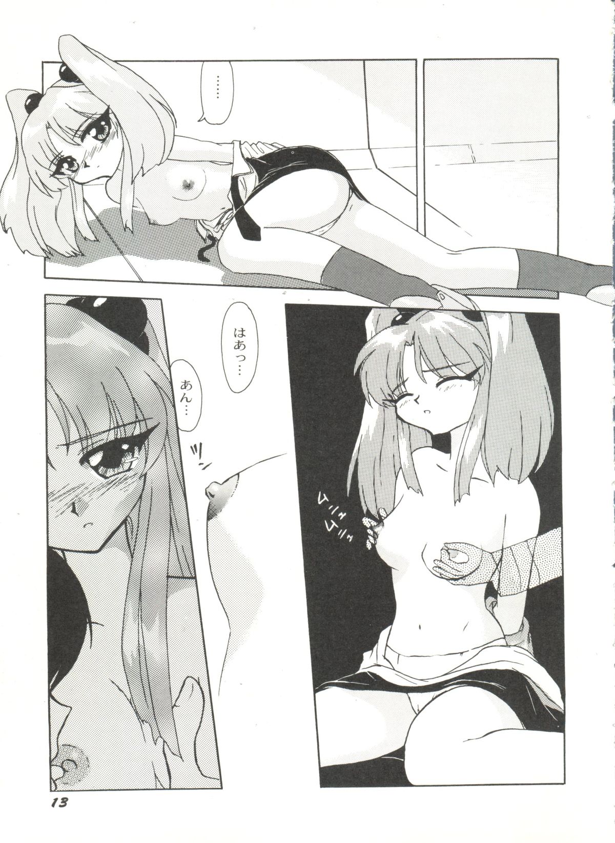[アンソロジー] アニパロ美姫 10 (よろず)