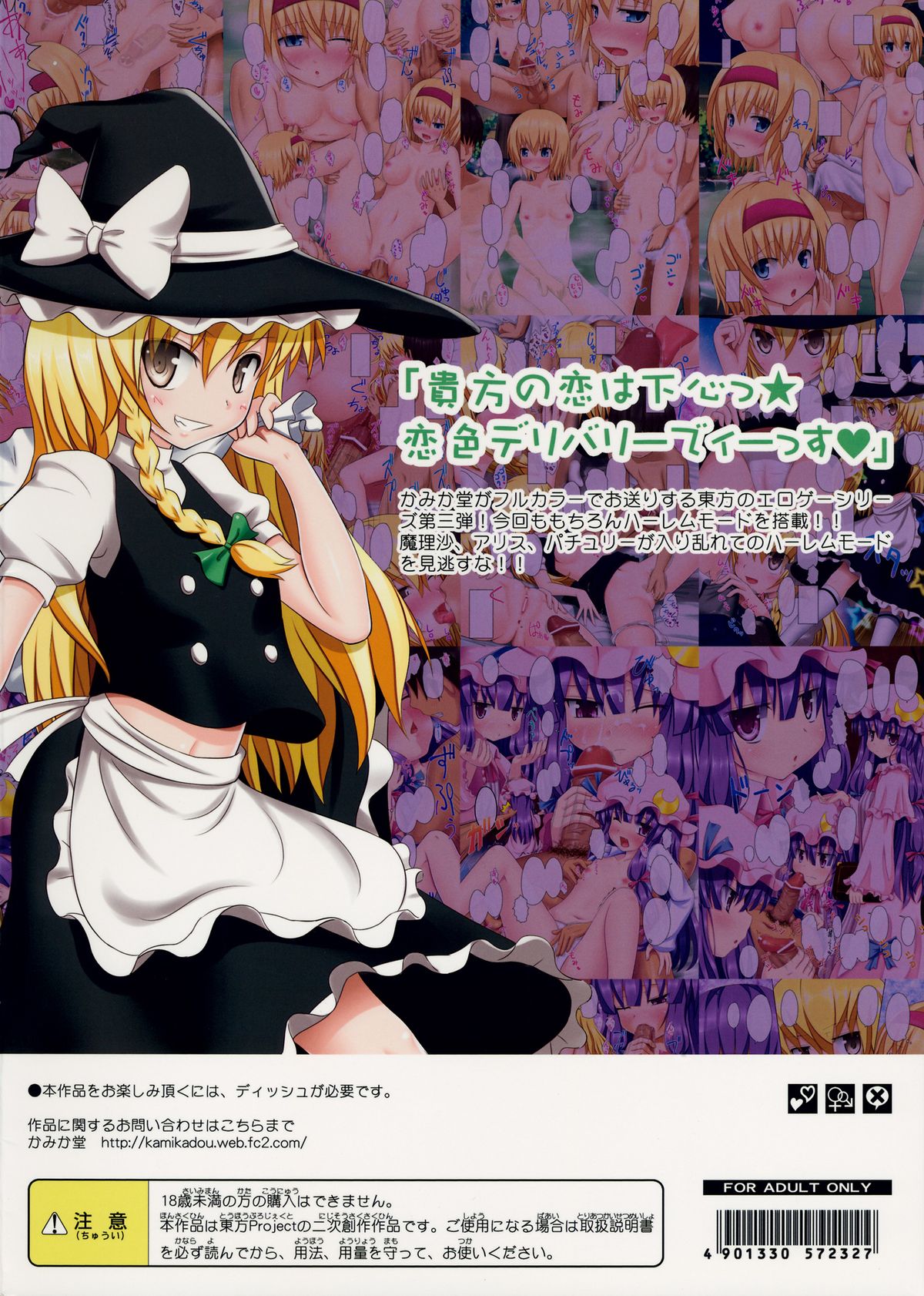 (サンクリ52) [かみか堂 (銀曜ハル)] 東方のエロゲー3 (東方Project)