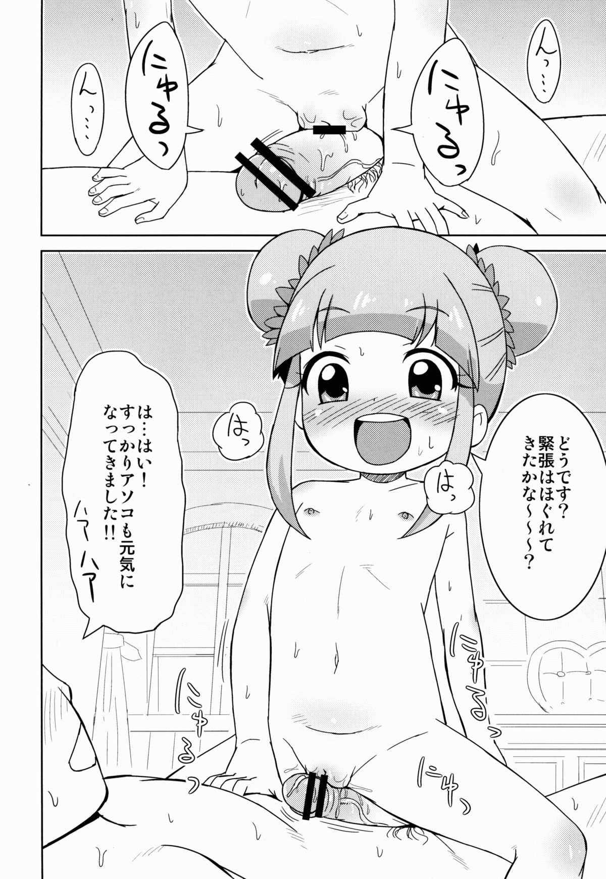 (ぷにケット28) [鳥の屋 (ましこどり)] 今日もハッピーハッピネス! (ジュエルペット ハッピネス)
