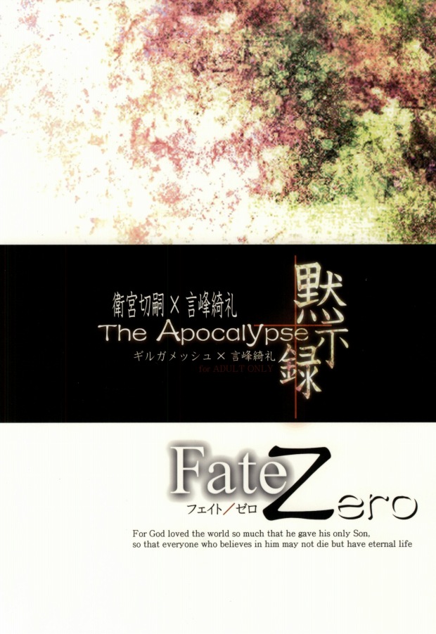 (C81) [Einsatz (snb)] The Apocalypse～黙示録～ (Fate/Zero)